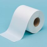 Toiletten&shy;papier